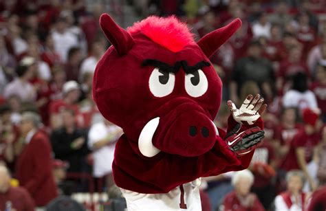 The Role of Mascots in Boosting Team Spirit in Arkansas Sports
